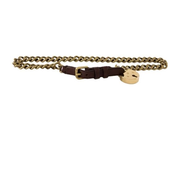 Ralph Lauren * Polished Brass Link Lock Charm Dog Collar Necklace/Bracelet/Belt - Picture 2 of 16